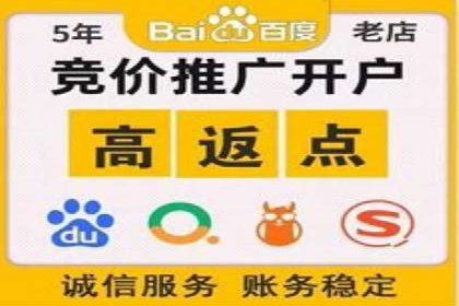 行业领先SEM服务公司案例研究